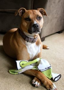 My lovely assistant, K.D. was kind enough to help me with this review.