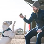 Winter is coming. You’re going to need wool