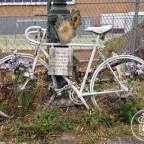 ENDEVR Drives “Dear Motorist” Campaign To Increase Cyclist-Motorist Safety