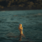 Costa Rica’s Kombucha Culture Expands its U.S. Footprint